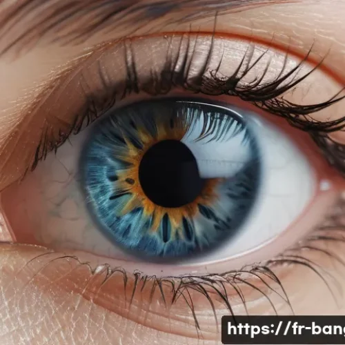 방글라데시 전통 장신구 관련 이미지 1